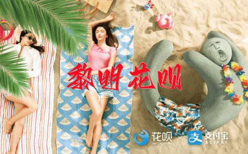 坚持不懈花呗